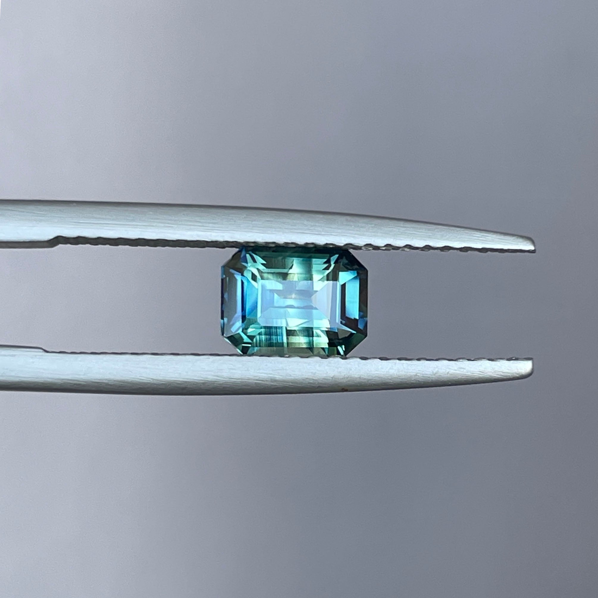 teal Sapphire blue green parti 1_5