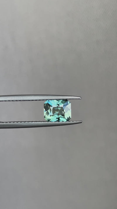 ocean mermaid peacock sapphire 